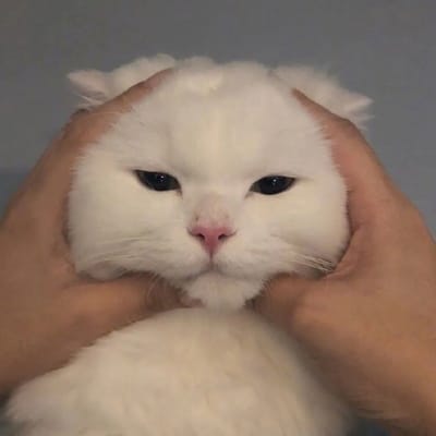 Tony Tan Caktiong avatar